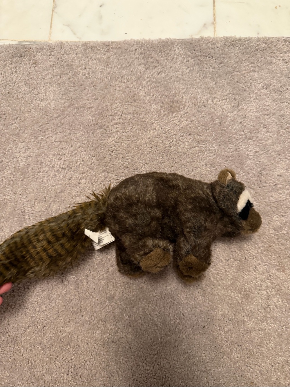 Hunter Plush Raccoon Small Pet Toy - Brown and Black